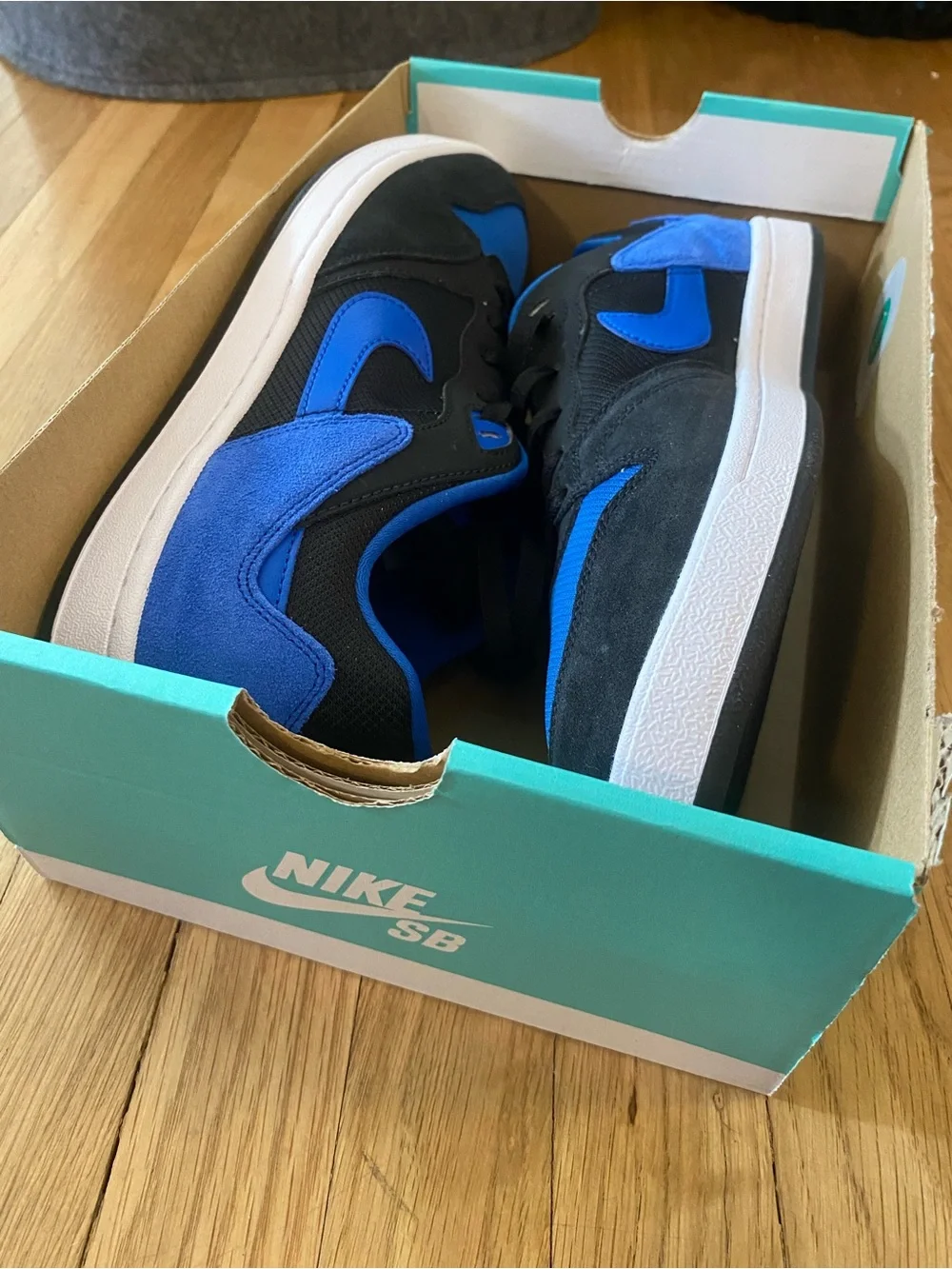 NEW Nike SB Alleyoop Dunk Black Royal